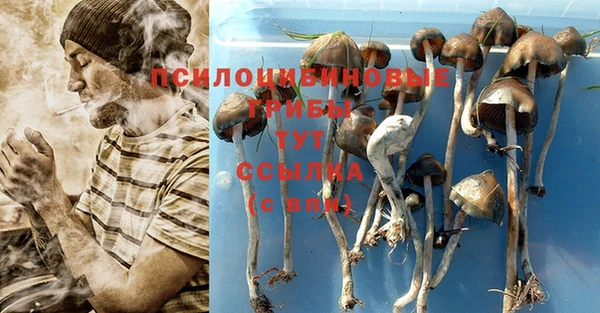 кокаин премиум Сафоново
