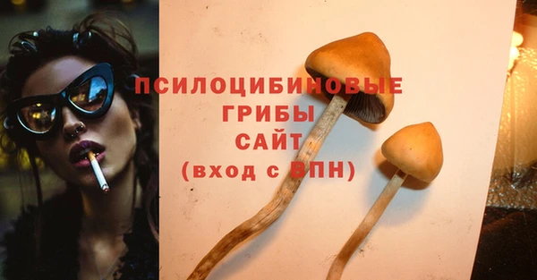 2c-b Сатка