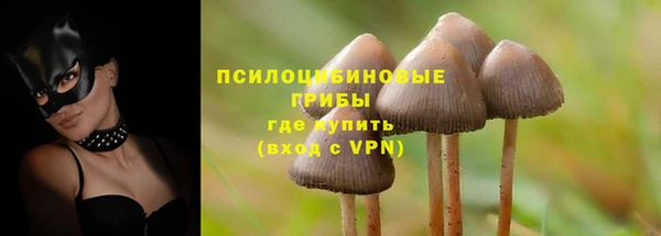 2c-b Сатка