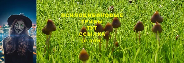 2c-b Сатка