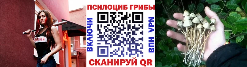 наркота Учалы Псилоцибиновые грибы MAGIC MUSHROOMS