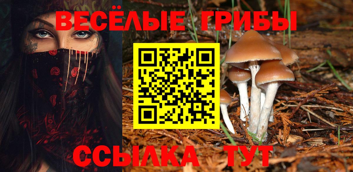 Галлюциногенные грибы мухоморы  Учалы 