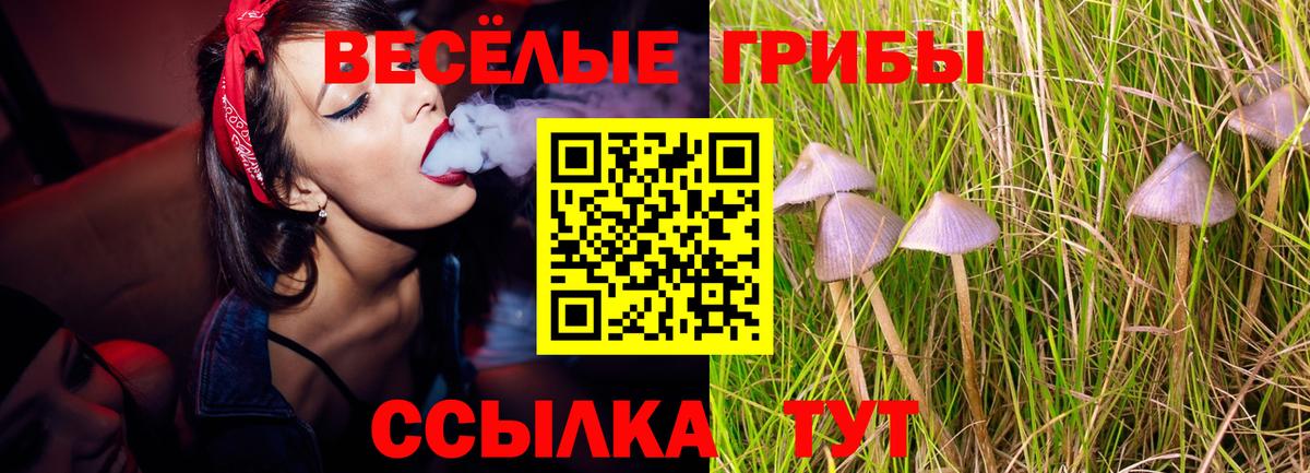 Псилоцибиновые грибы Psilocybine cubensis Учалы